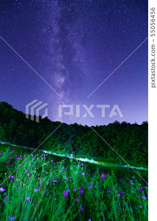 Jujisaka Kogen starry view 55056456