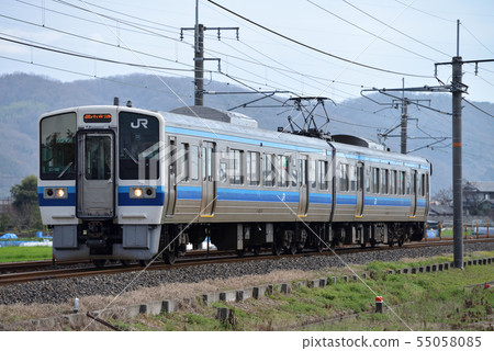 Two trains 213 series running on the Hakubi Line 55058085