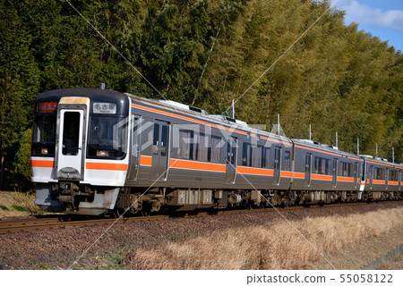 Kiha 75 system fast Mie running Sannomiya line 55058122