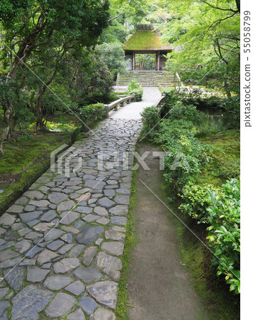 京都夏天Honenin 京都夏天Honenin 55058799