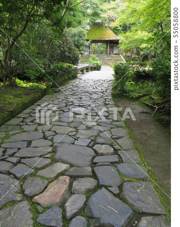 京都夏天Honenin 京都夏天Honenin 55058800