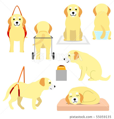 老狗和護理用品 55059135