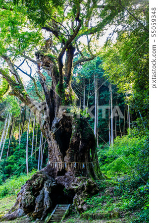 Takeo的Daigo [佐賀縣武雄市] 55059348