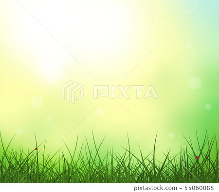 Grass sky sun ladybug summer background Grass sky sun ladybug summer background 55060088