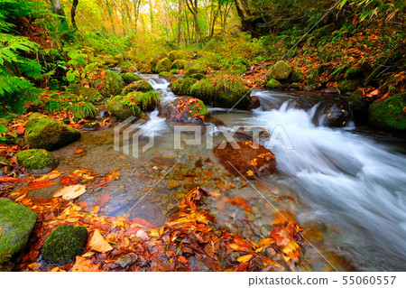 Oyama Kiyazawa Autumn leaves Oyama Kiyazawa Autumn leaves 55060557