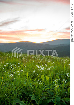 風景 風景 55061717