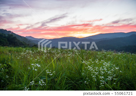 風景 風景 55061721