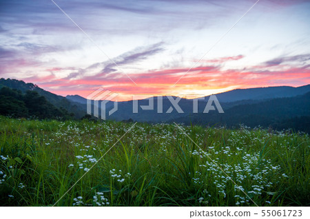 風景 風景 55061723