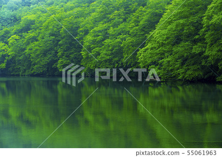 Towada City Aomori Prefecture Suganuma 55061963