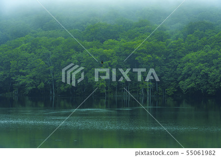 Towada City Aomori Prefecture Suganuma 55061982