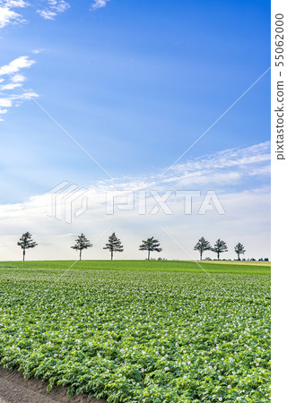 細麵條童話山 細麵條童話山 55062000