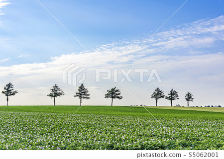 Vermicellin fairy tale hill 55062001