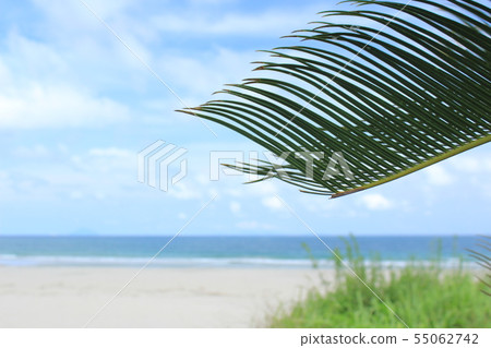 Izu Shimoda Beautiful Rakuen Iritahama Izu Shimoda Beautiful Rakuen Iritahama 55062742