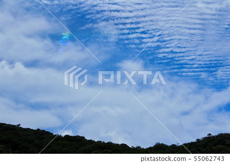 Beautiful color cloud 55062743