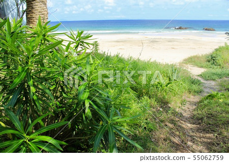 Izu Shimoda Beautiful Rakuen Iritahama 55062759