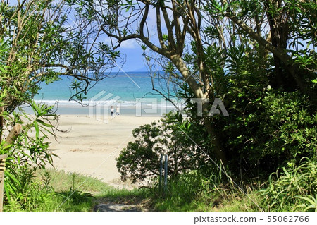 伊豆下田美麗的樂園飯田 55062766