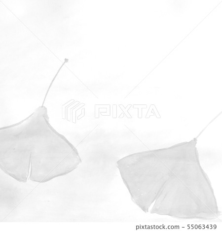 Ginkgo leaf (hand-drawn illustration of ink) 55063439