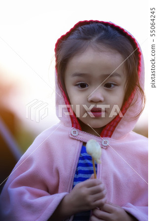 Adorable toddler girl having fun on winter day. 55064245