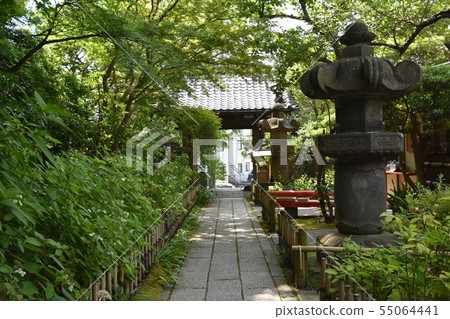 鎌倉市Ankoonji寺 鎌倉市Ankoonji寺 55064441
