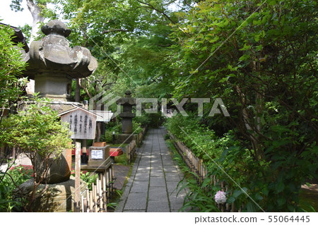 鎌倉市Ankoonji寺 55064445