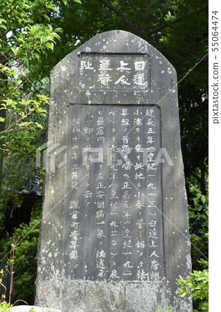 鎌倉市Ankoonji寺 鎌倉市Ankoonji寺 55064474
