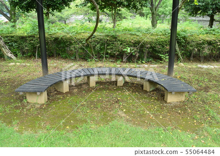 Bench in the park 55064484