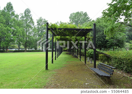 Park landscape 55064485