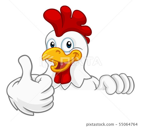 Chicken Rooster Cockerel Bird Cartoon Character 55064764