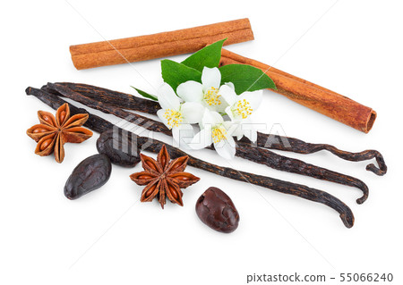 Vanilla and cinnamon sticks with cocoa bean and star anise isolated on white background 55066240
