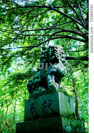 Togakushi Shrine _ Osha Approach _ No 5 Togakushi Shrine _ Osha Approach _ No 5 55066392