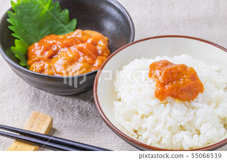 海膽鹽和海膽 海膽鹽和海膽 55066539