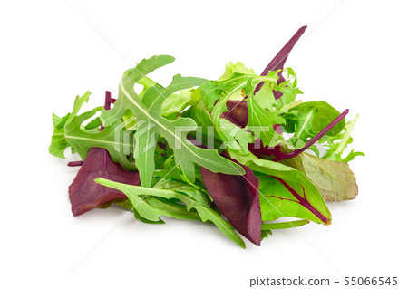 Mix of different salads isolated on white background Mix of different salads isolated on white background 55066545
