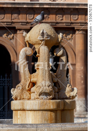 Catania. Fountain dolphin. 55067078