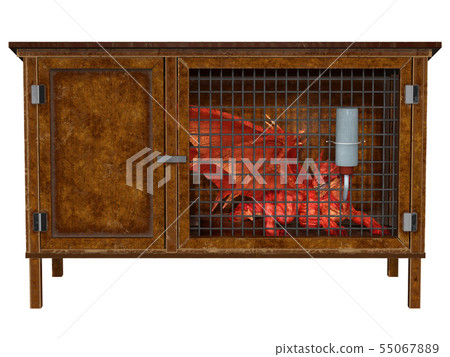 Small Pet Red Dragon in a Hutch 55067889