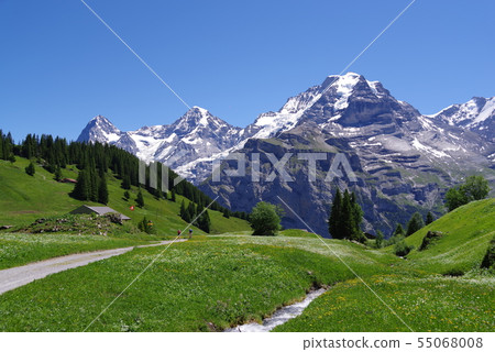 Flower valley 55068008