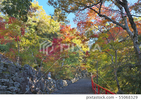 Akinaga Nagagenji寺 55068329