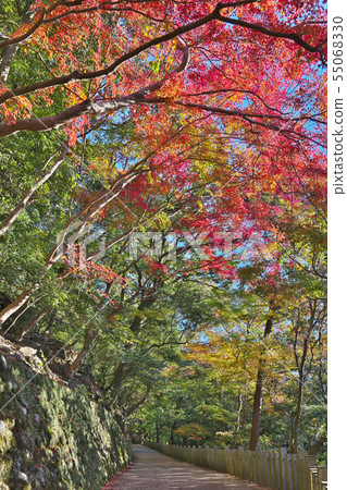 Akinaga Nagagenji寺 55068330