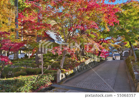 Akinaga Nagagenji Temple Akinaga Nagagenji Temple 55068357