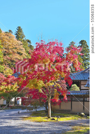 Akinaga Nagagenji寺 55068358