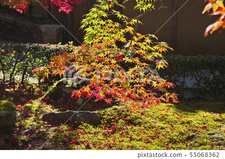 Akinaga Nagagenji寺 55068362