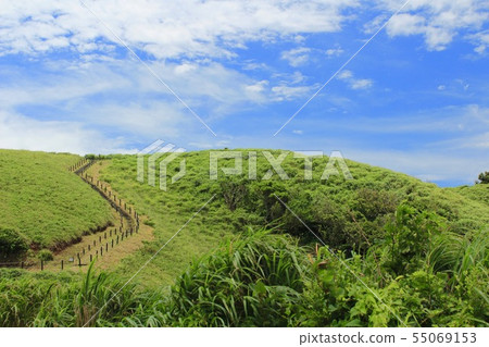 South Izu Yuusge Park 55069153