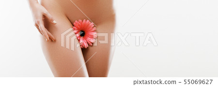 women's health, bikini hair removal, laser hair 55069627