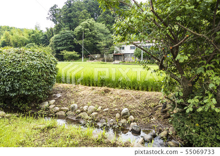 Maioka Hachimangu Shrine (Suiyu) Maioka Hachimangu Shrine (Suiyu) 55069733