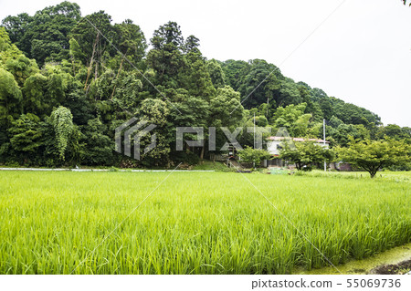 Maioka Hachimangu Shrine (Suiyu) 55069736