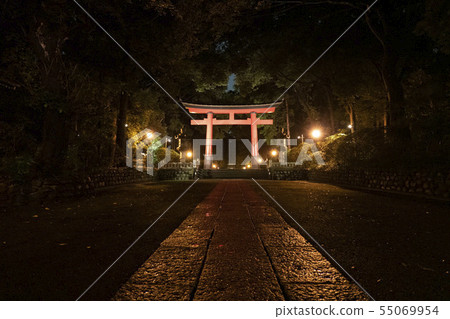 大宮八幡宮第二鳥居(夜) 大宮八幡宮第二鳥居(夜) 55069954