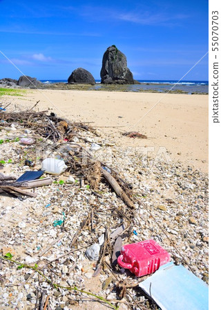 <Amami Oshima> A stray article 7 launched on the coast <Amami Oshima> A stray article 7 launched on the coast 55070703