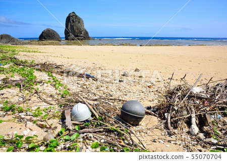 <Amami Oshima> A stray article 8 launched on the coast <Amami Oshima> A stray article 8 launched on the coast 55070704