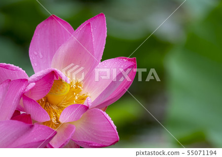 京畿道楊平郡Semiwon 55071194