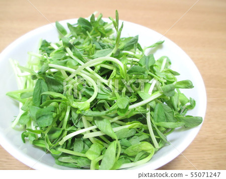 剁碎的豆芽與綠豌豆切 剁碎的豆芽與綠豌豆切 55071247