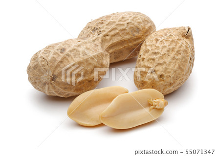 Peanuts isolated on white background 55071347